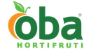 Logo empresa palestrante